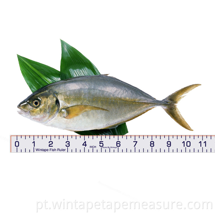Fita métrica de peixe com impressão personalizada de 40 polegadas régua de peixe medida de peixe